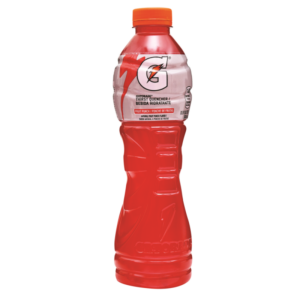 gatorade fruit punch 600 ML