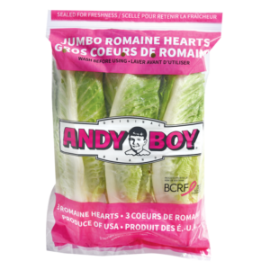 Lechuga Romana Andy Boy Hearts
